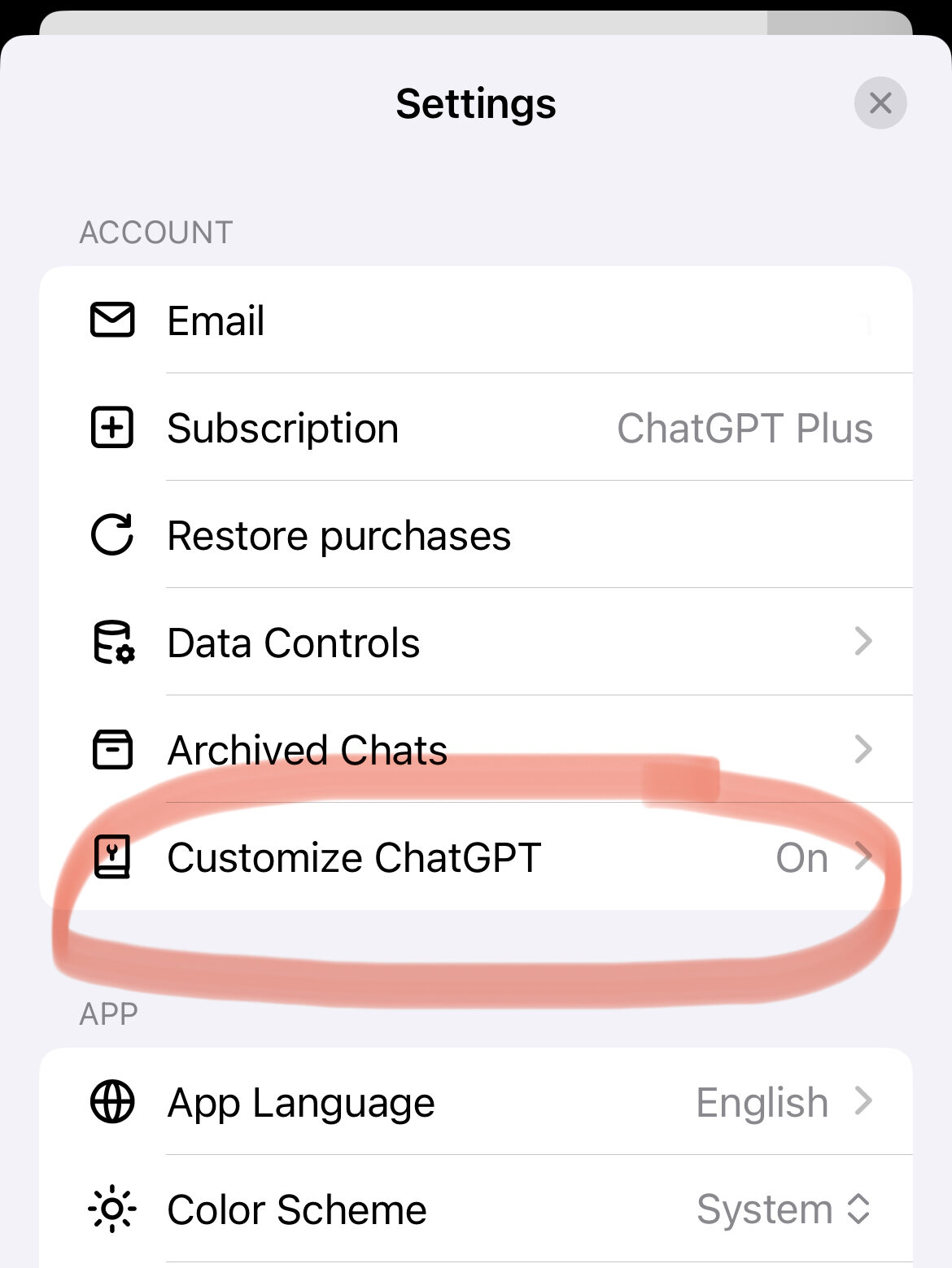 custom instructions from your phone